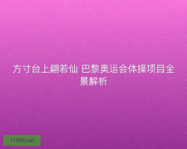方寸台上翩若仙 巴黎奥运会体操项目全景解析