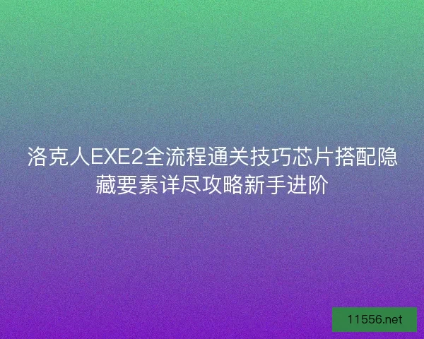 洛克人EXE2全流程通关技巧芯片搭配隐藏要素详尽攻略新手进阶