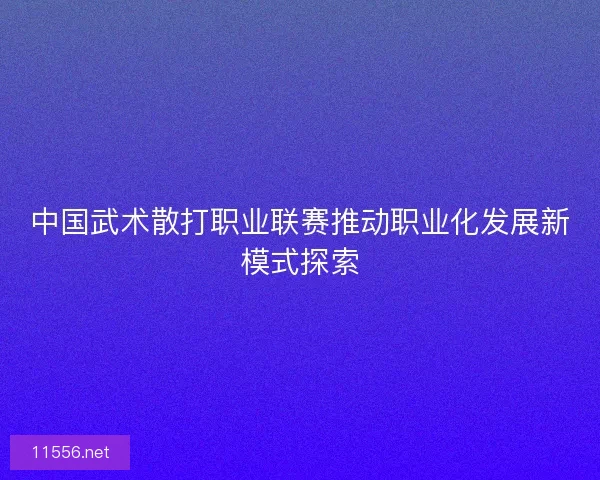 中国武术散打职业联赛推动职业化发展新模式探索