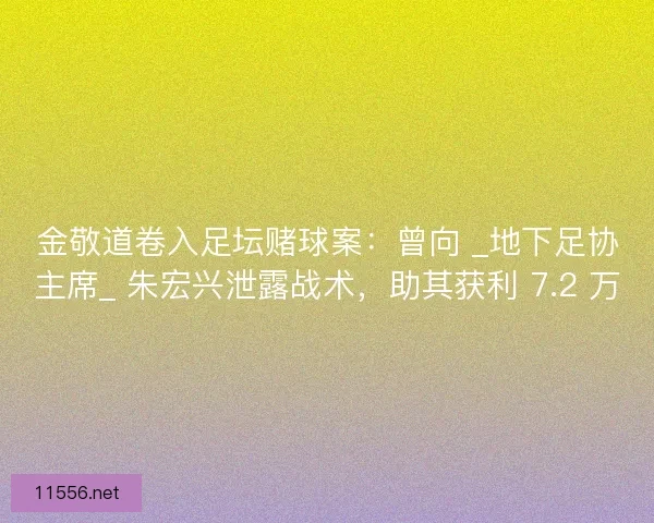 金敬道卷入足坛赌球案：曾向 _地下足协主席_ 朱宏兴泄露战术，助其获利 7.2 万