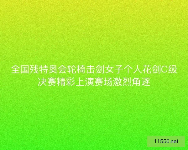全国残特奥会轮椅击剑女子个人花剑C级决赛精彩上演赛场激烈角逐